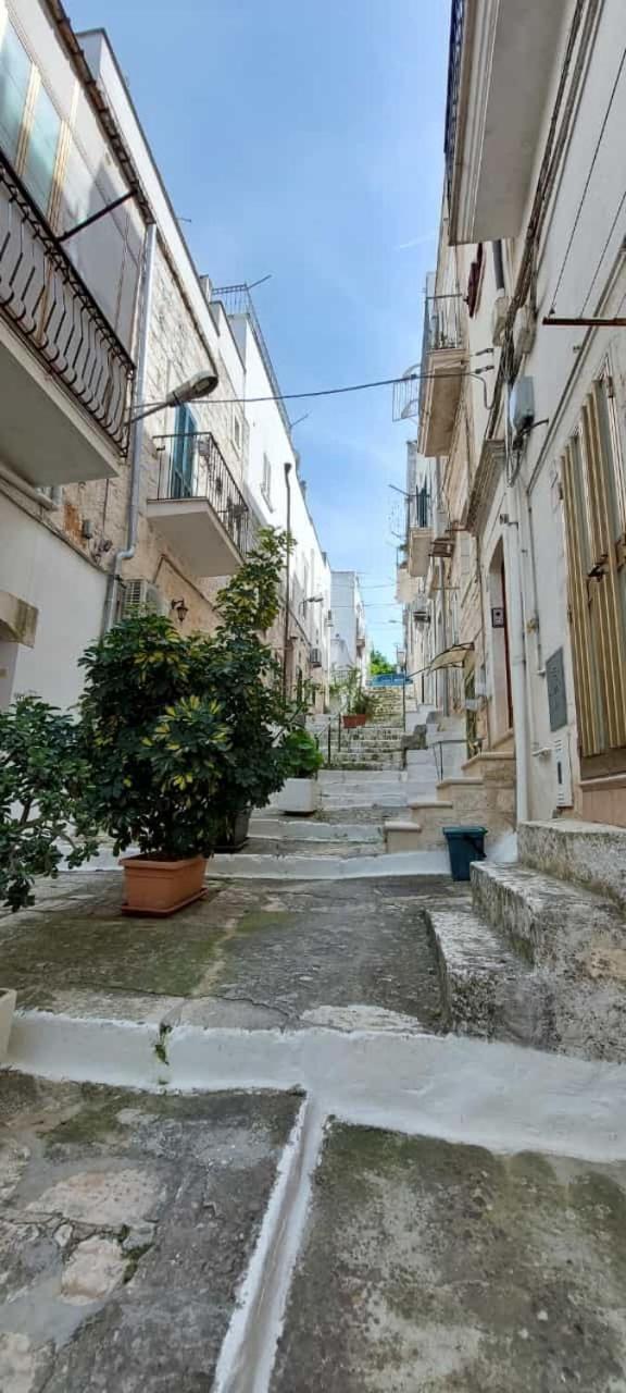 Vico Anglani Guest House Ostuni Zewnętrze zdjęcie
