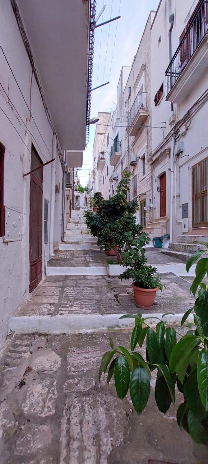 Vico Anglani Guest House Ostuni Zewnętrze zdjęcie